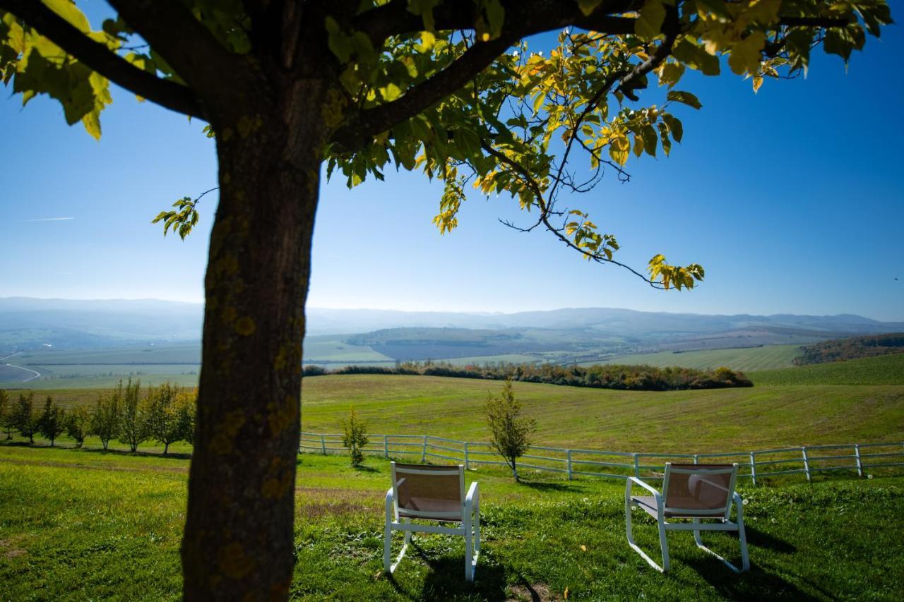Pensiunea Casa Buna Gîrbova Exteriér fotografie