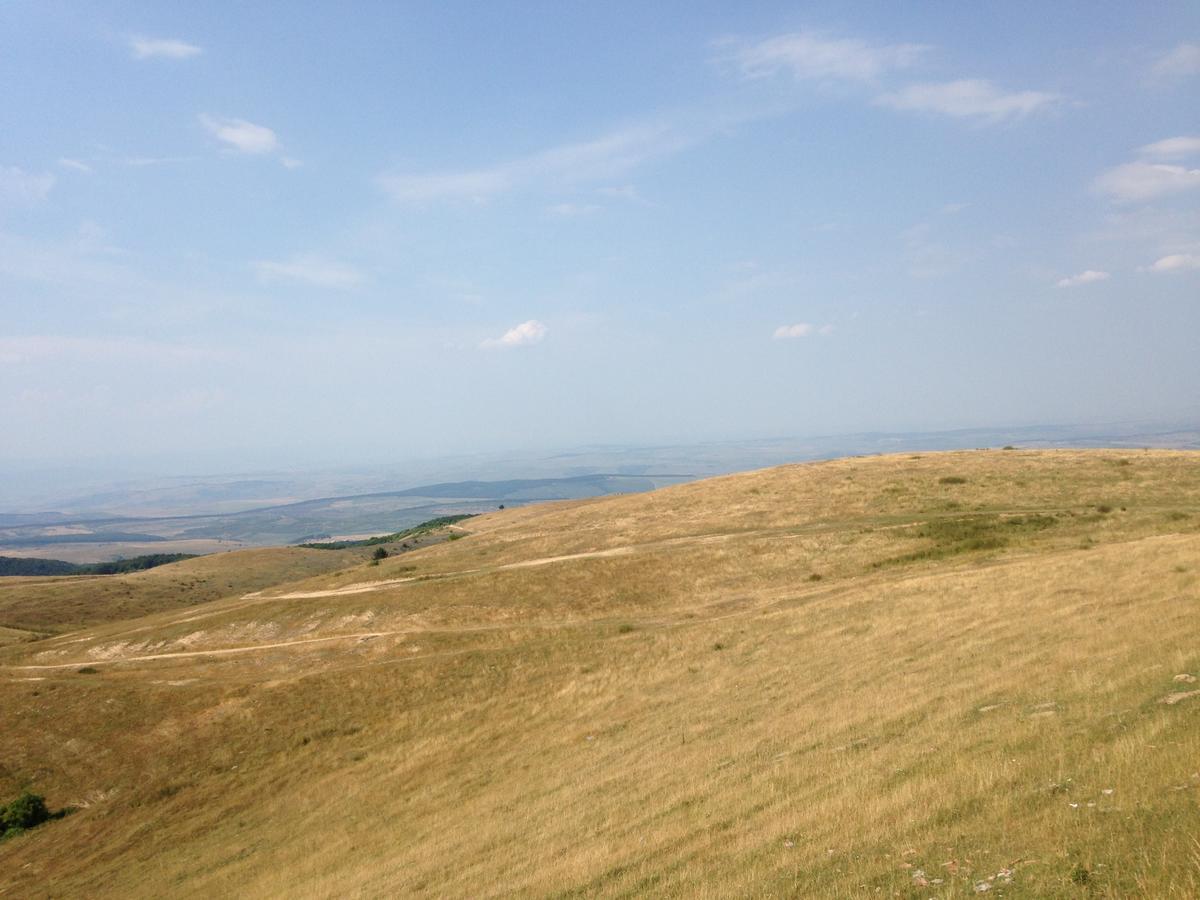 Pensiunea Casa Buna Gîrbova Exteriér fotografie