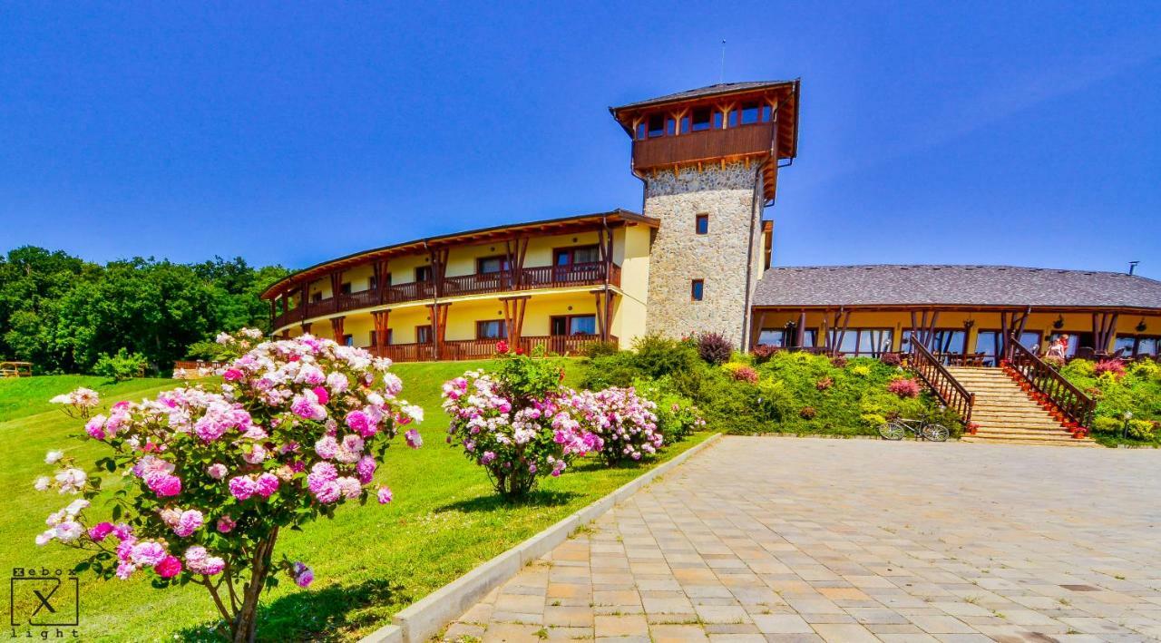 Pensiunea Casa Buna Gîrbova Exteriér fotografie